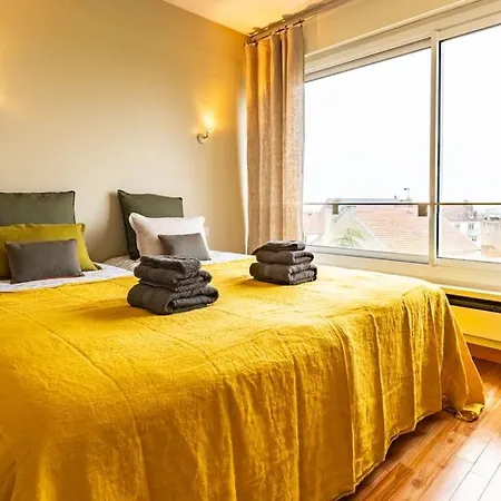 Le Skyline Appartement Lumineux , Vue Imprenable, Calme , Pk Dijon Exterior foto